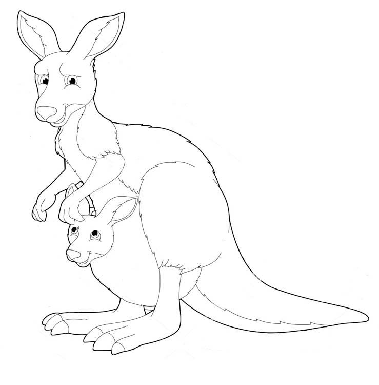Раскраски Животные Австралии - Картинки-раскраски для детей и взрослых