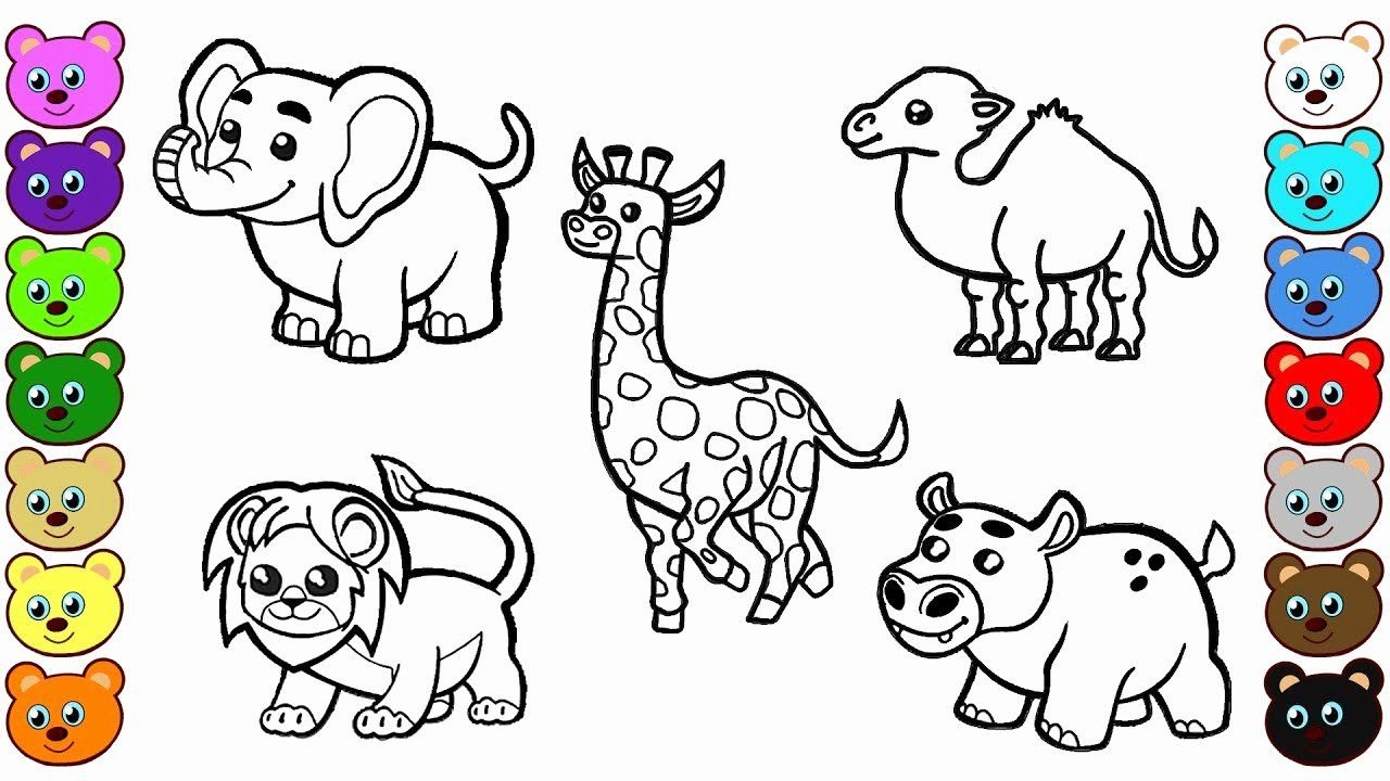 Животные группами раскраски. Раскраски. Животные. Рисунки животных для детей. Картинки для раскрашивания животные. Раскраска малышам животные.