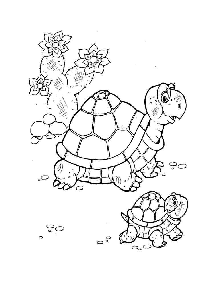 Раскраски Черепаха - распечатать в формате А4 | Раскраски, Животные, Черепаха