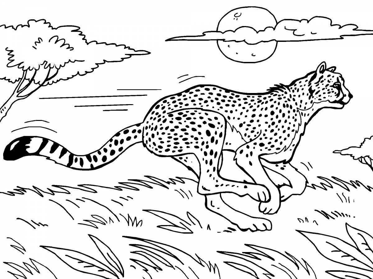 Раскраска Гепард для детей: 29 разукрашек распечатать | Раскраски с животными, Раскраски, Гепард