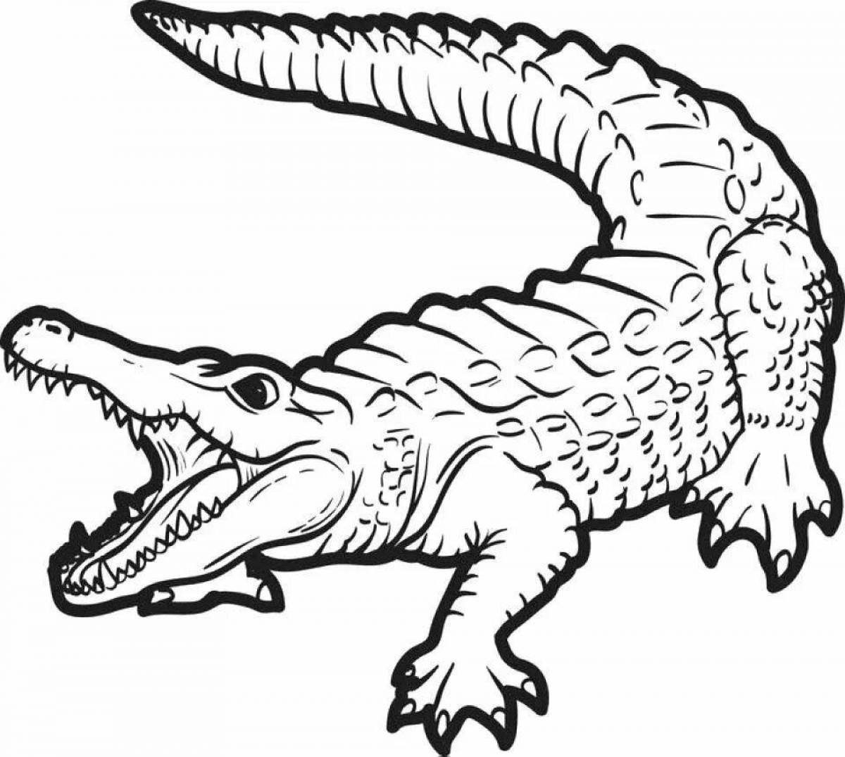 Раскраска крокодил