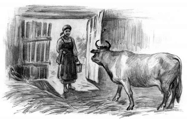 Ушинский бодливая корова