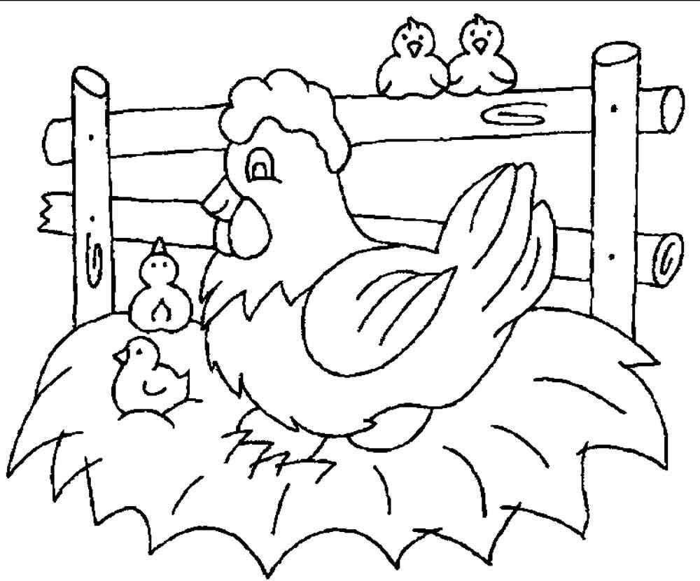 Раскраска Курица и цыплятки