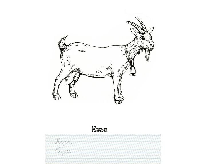 «Коза с козленком» бесплатная раскраска для детей - мальчиков и девочек