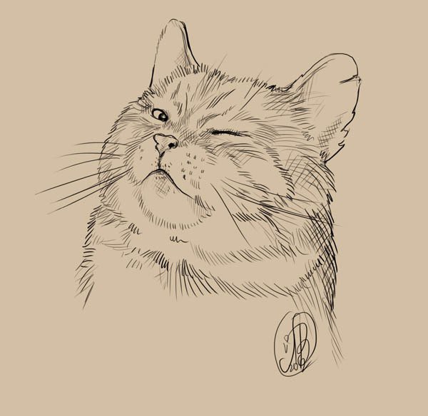 Нарисовать наглого кота