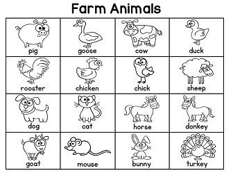 Задания для детей англ яз animals