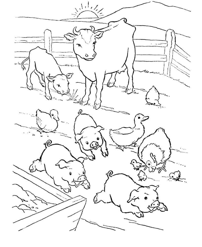 Раскраски Ферма с овцами
