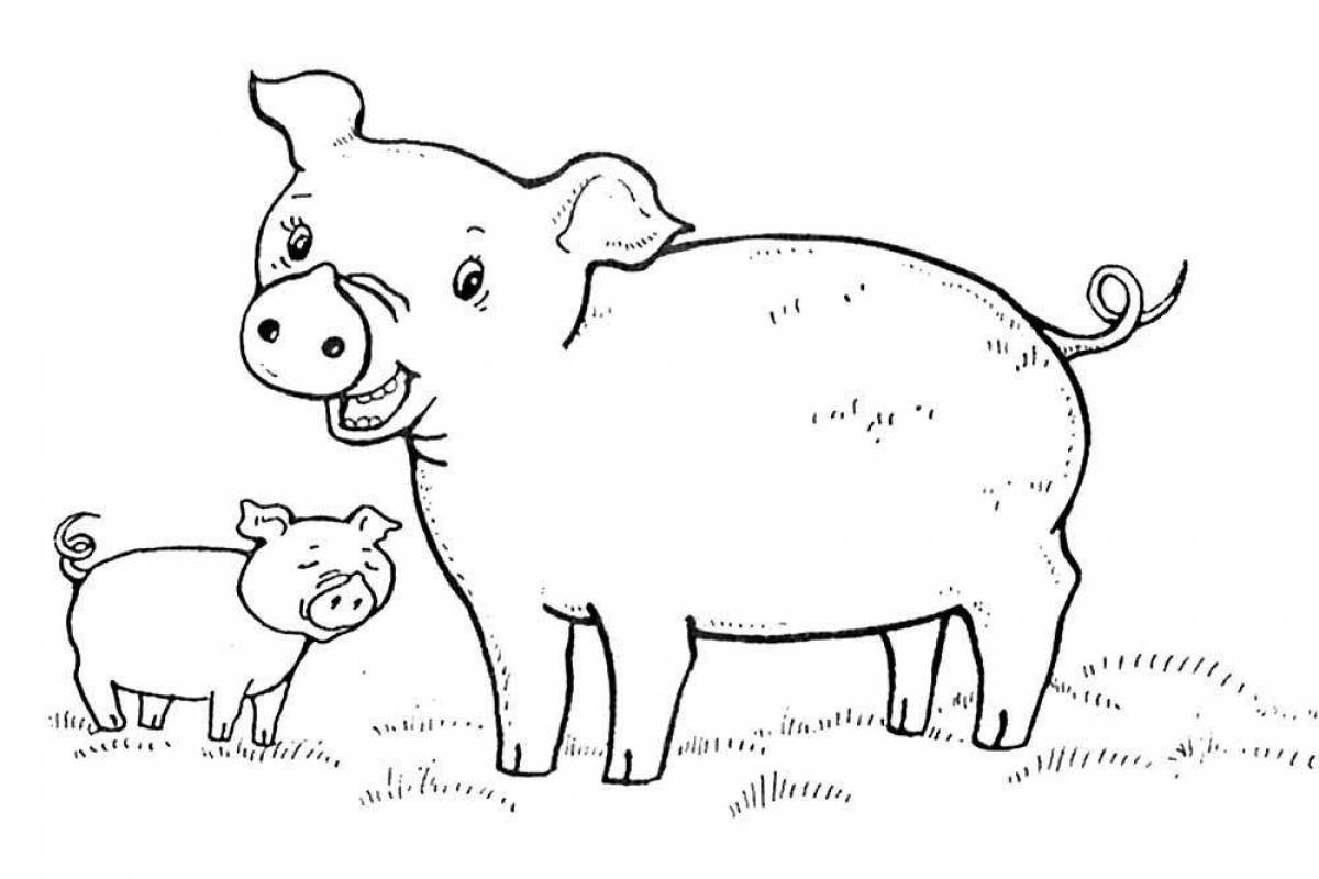 Раскраски Домашняя свинья