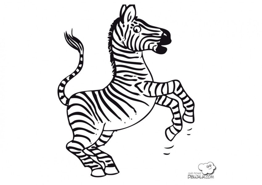 Категория Раскраски для детей зебра зебры Скачать или распечатать раскраску, зебра бежит