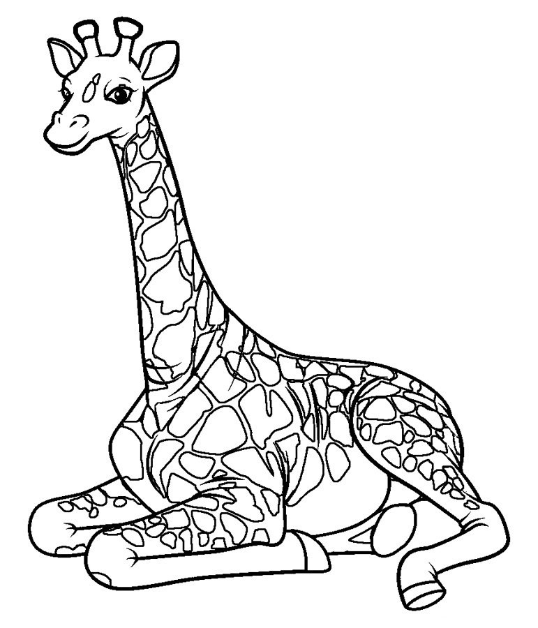 Раскраска Жираф с цветочком