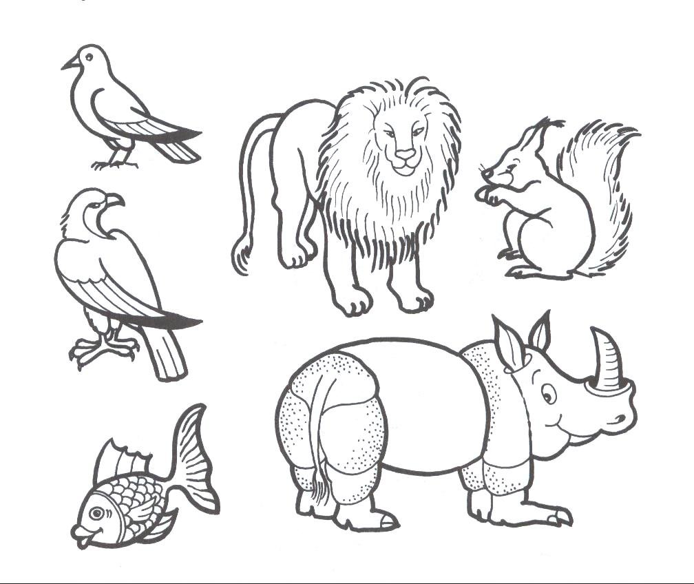Основы мультипликации: секреты рисования животных - CG Магнит