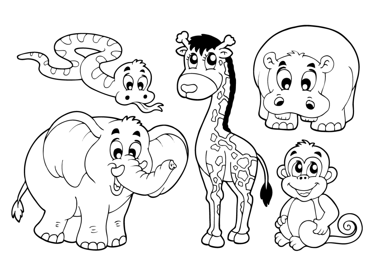 Тигр лев жираф слон. Раскраски. Животные. Животные зоопарка раскраски для детей. Африканские животные раскраска. Раскраска африканские животные для детей.