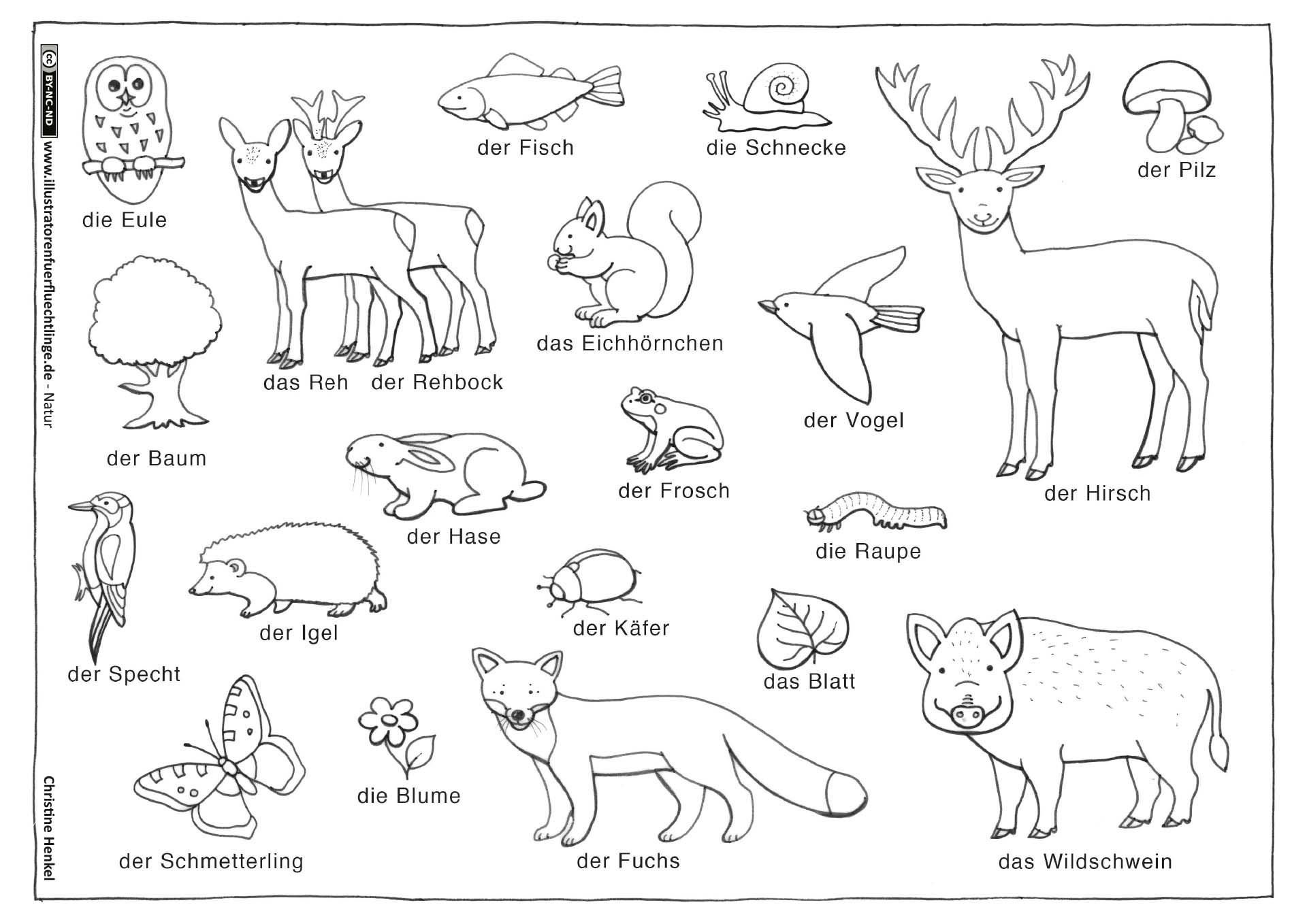 Нарисовать животное 3 класс английский язык