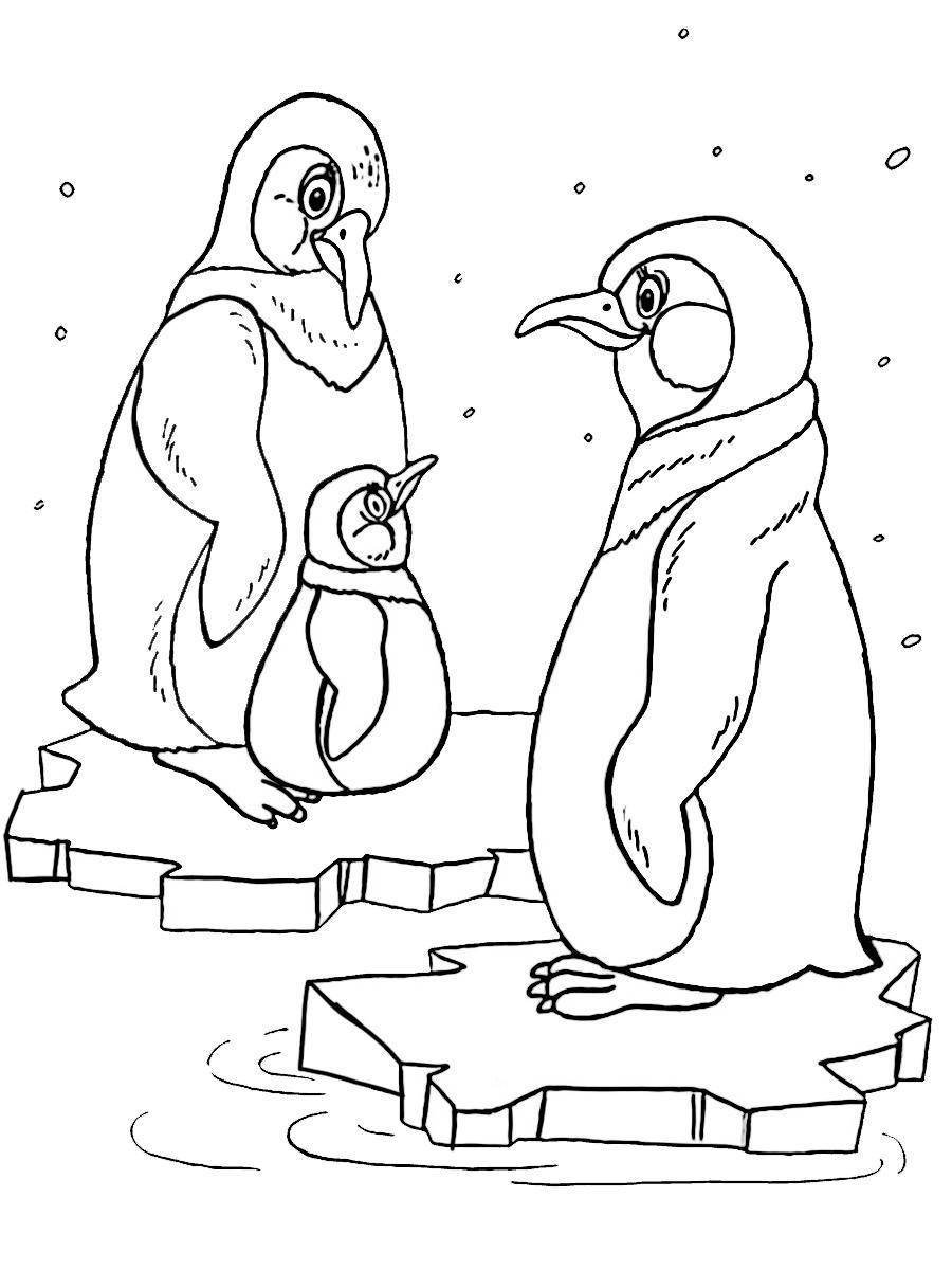 Раскраска Пингвины | Раскраски антистресс Птицы. Сложные раскраски-антистресс с птицами.