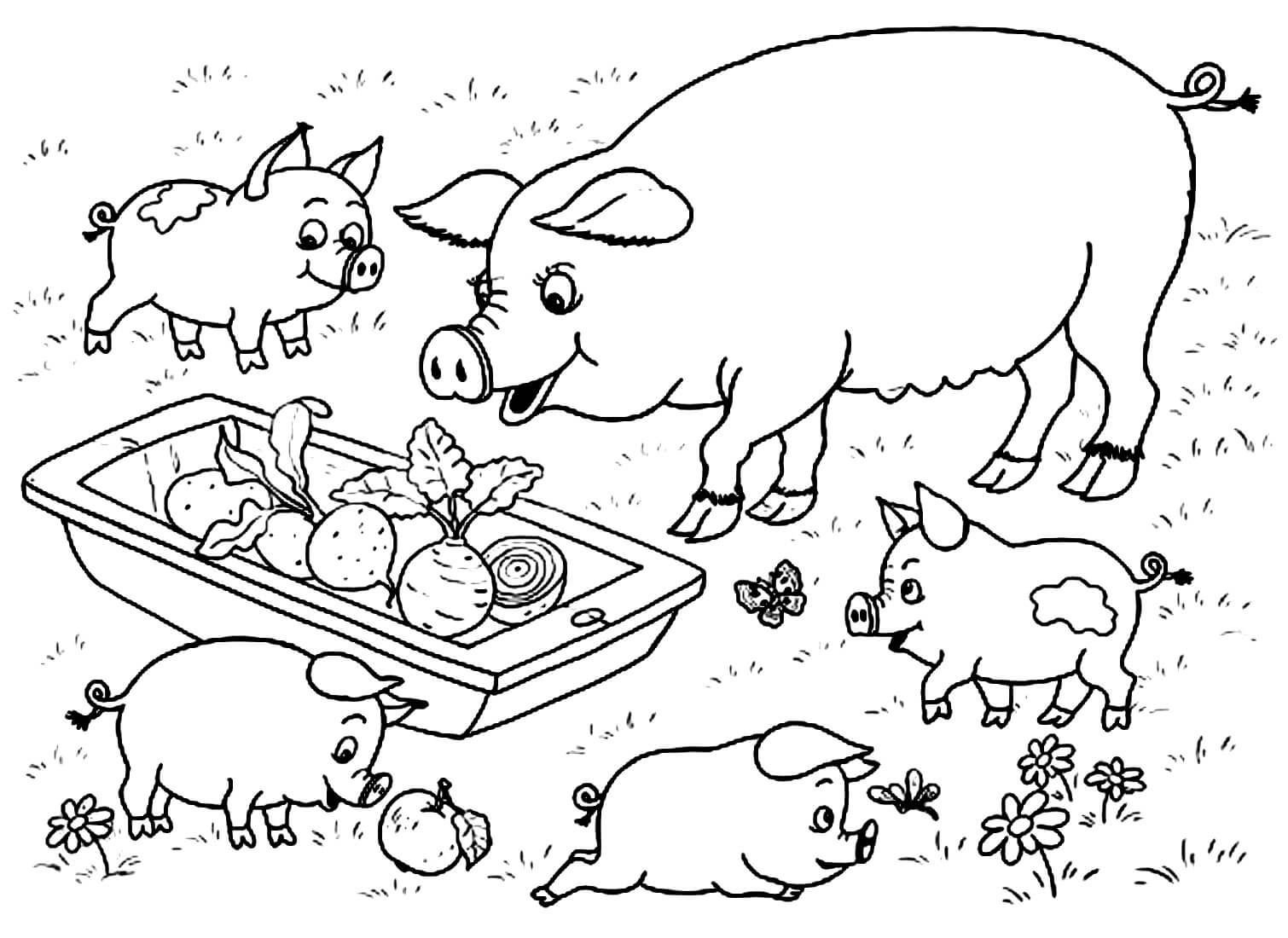 Картинка свинья - Раскраски от сайта В мире сказки!