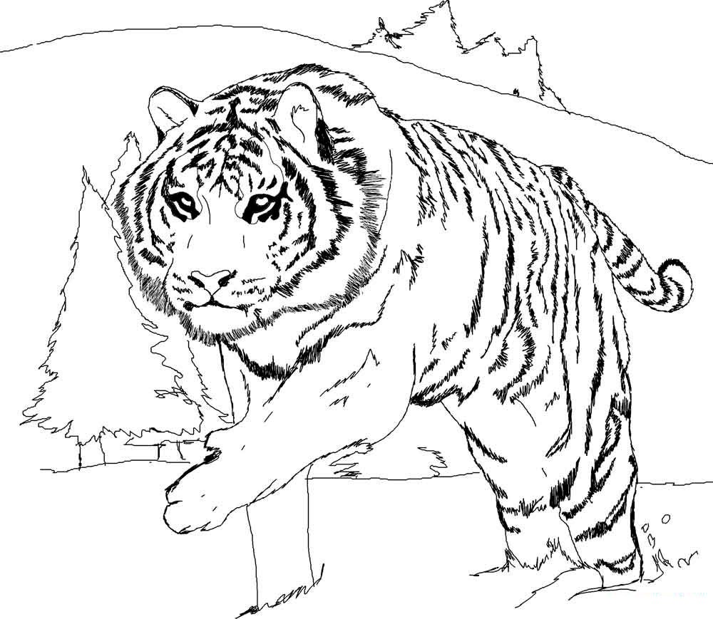 Дальневосточный леопард рисунок (50 фото)