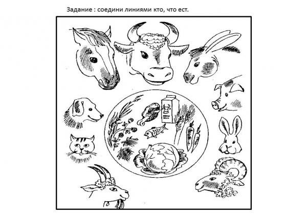 Домашние животные задания для дошкольников
