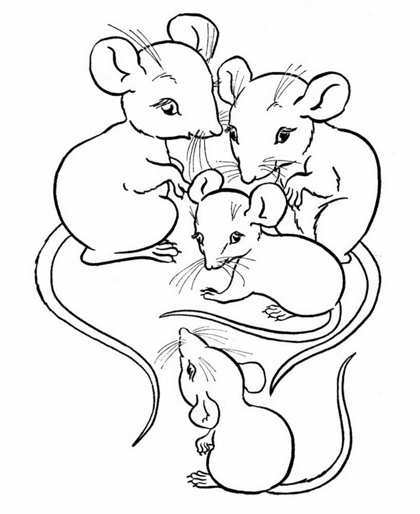 Раскраска маленькие мышки - 62 фото