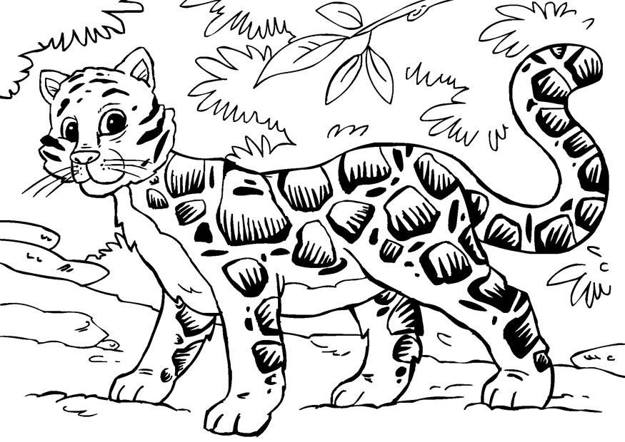 Гепард (Cheetah) | Раскраска для детей: 30 разукрашек распечатать
