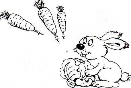 Раскраска Кролик и морковка