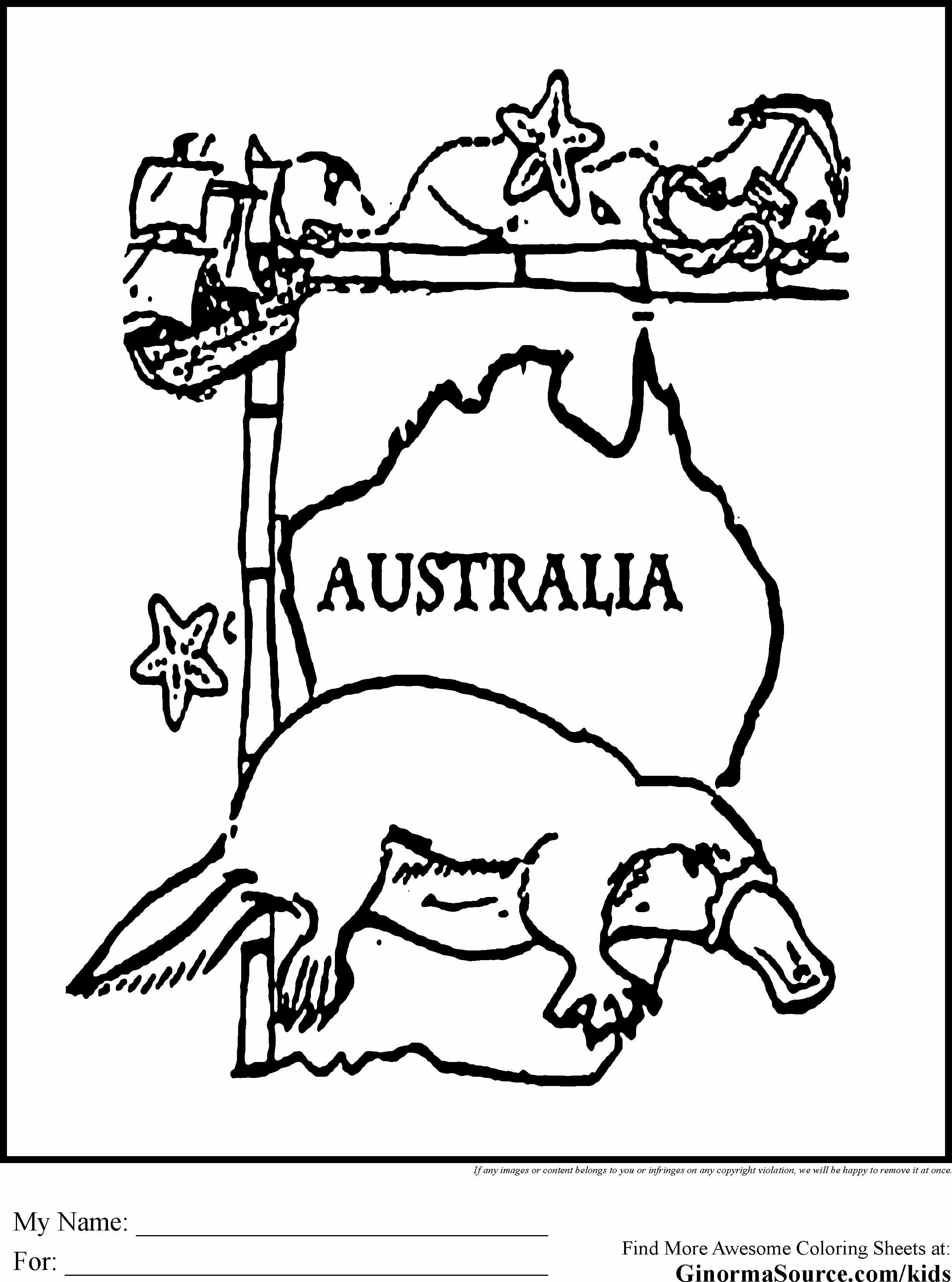 Животные австралии рисунки - 50 фото