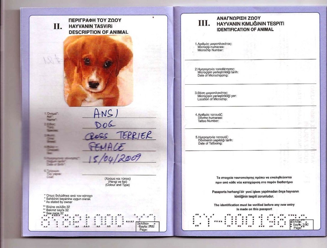 Ветеринарный паспорт для собак и кошек АВЗ международный