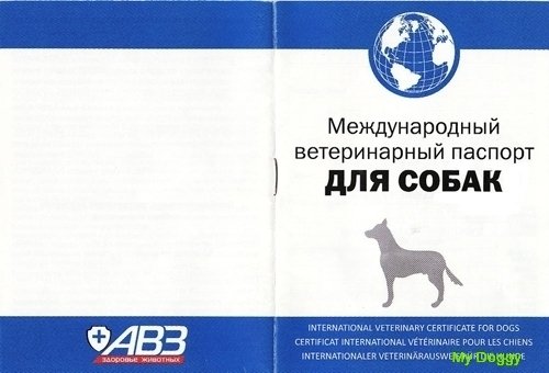 Международный ветеринарный паспорт для собак распечатать