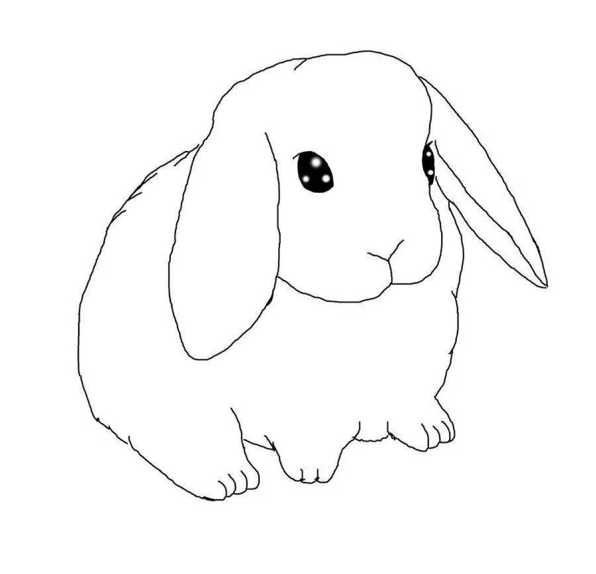Раскраски кролик