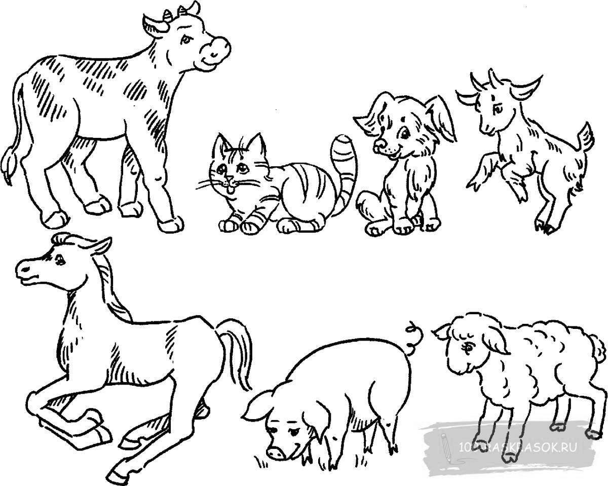 Раскраски Детеныши Животных | Распечатать бесплатно