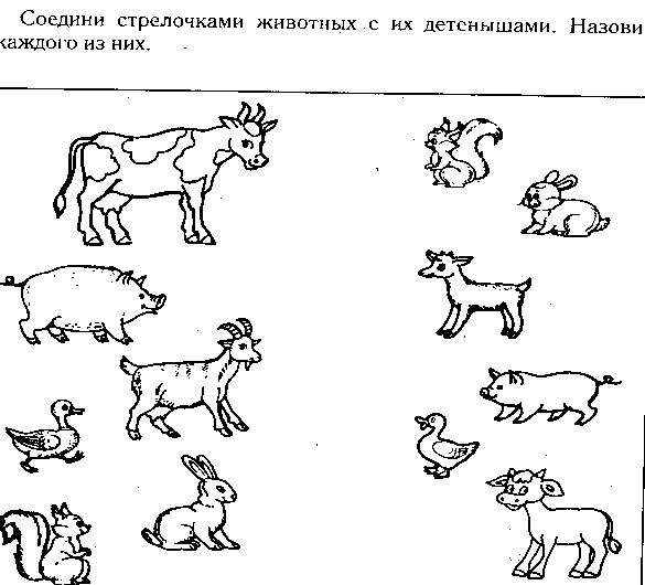 Животные и их Детеныши задания для дошкольников