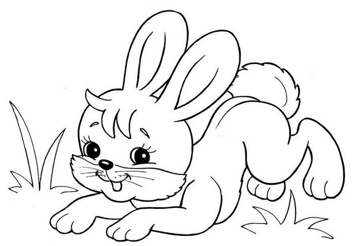 Раскраски зайца, Раскраска Рисунок зайца домашние животные.