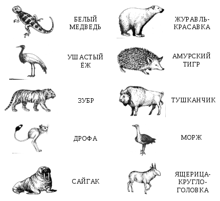 Краснокнижные животные черно белые