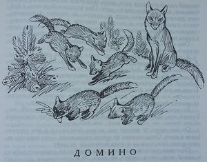 Сетон Томпсон Домино иллюстрации