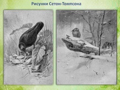 Эрнест Сетон Томпсон рисунки