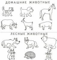 Дикие и домашние животные раскраски для детей