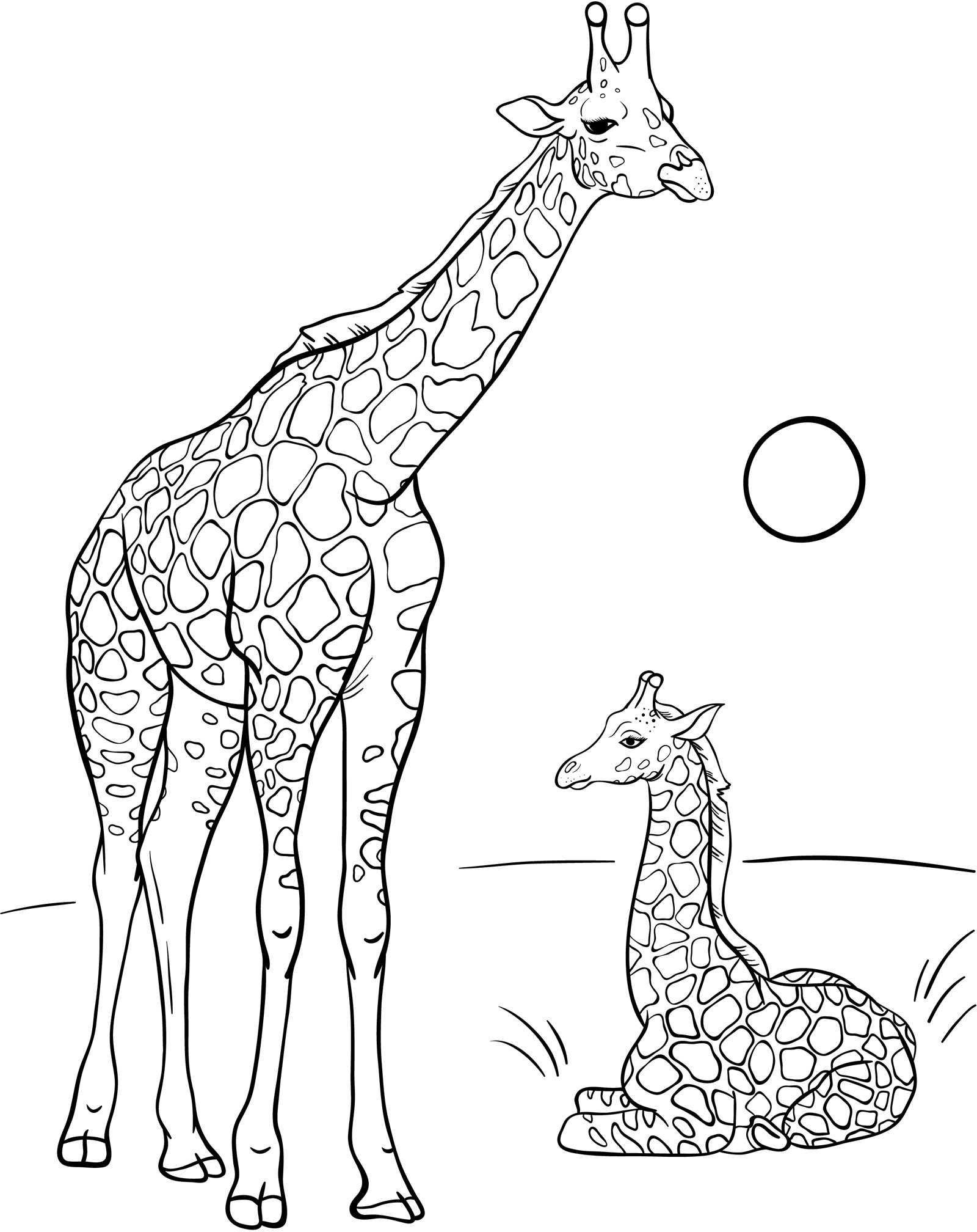 раскраски жираф - Freude Kinder