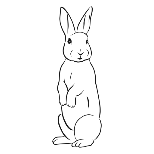 Раскраски заяц стоит на задних лапах (50 фото)