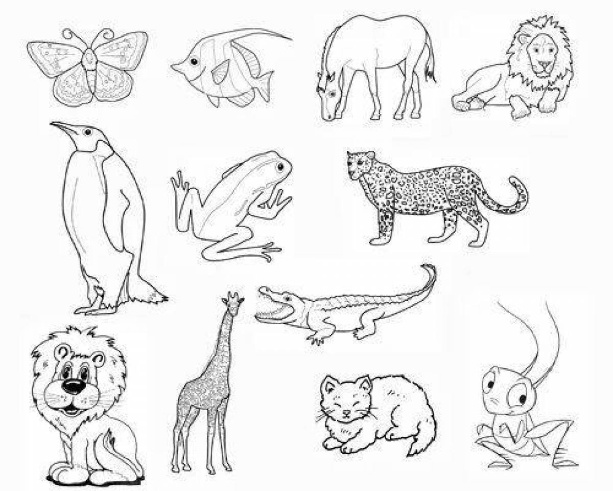 Животные группами раскраски. Раскраски. Животные. Раскраска "Дикие животные". Картинки животных раскраски. Раскраски животных для детей.