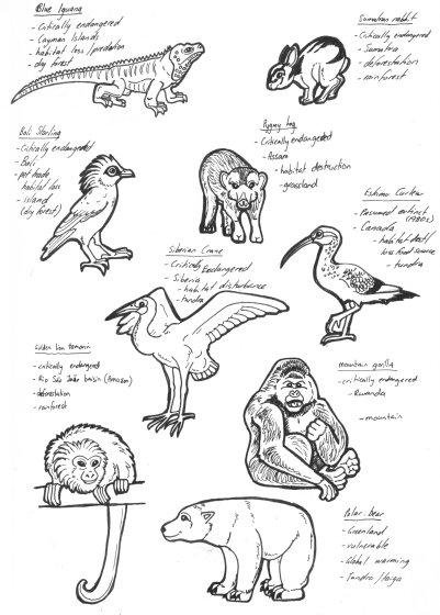 Endangered animals раскраска