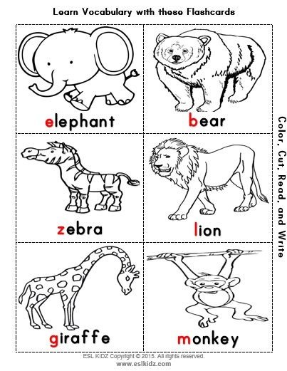 Домашние животные на английском раскраска