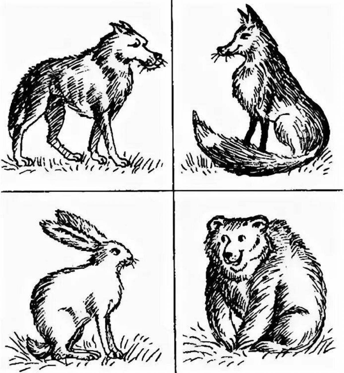 Водная книжка-раскраска: Волк, заяц и другие