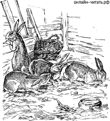 Мазай и зайцы