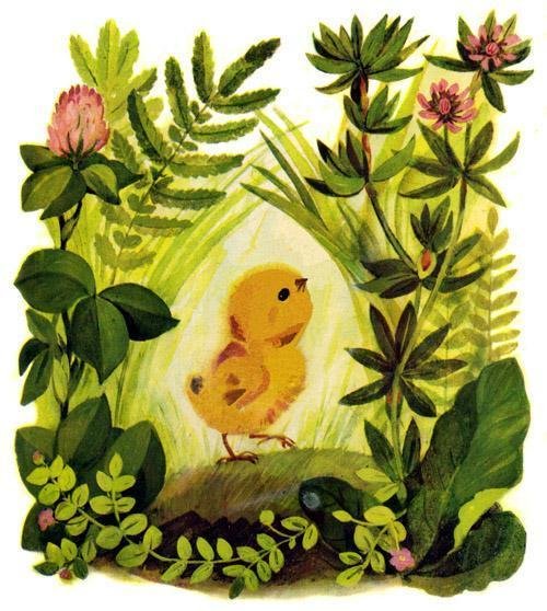 Чуковский корней "цыпленок"