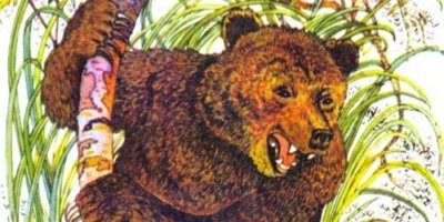 Комар Комарович и медведь