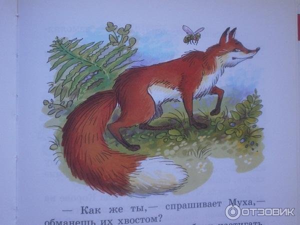 Виталий Валентинович Бианки хвосты