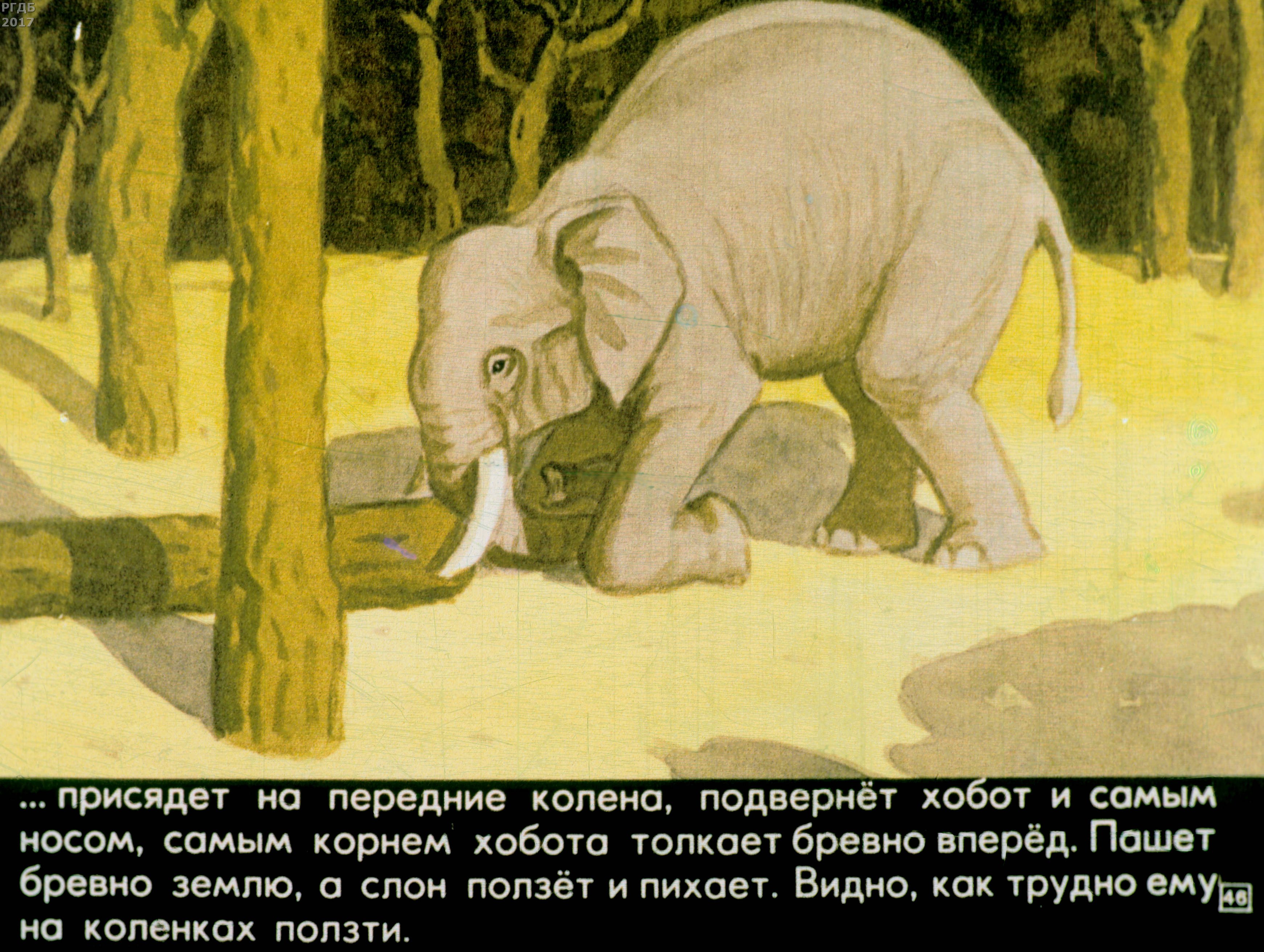 История слоника. Рассказ про слона Житков. Рассказ Житкова про слона.