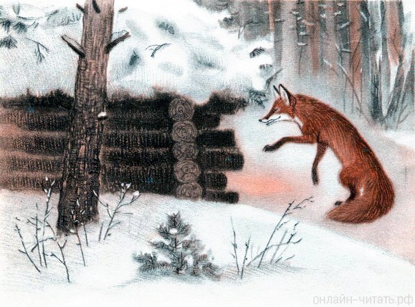 Зимовье зверей лиса