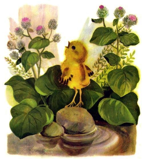 Чуковский корней "цыпленок"