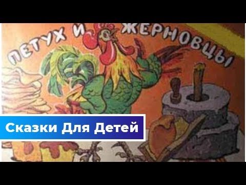 Автор сказки петух и жерновцы