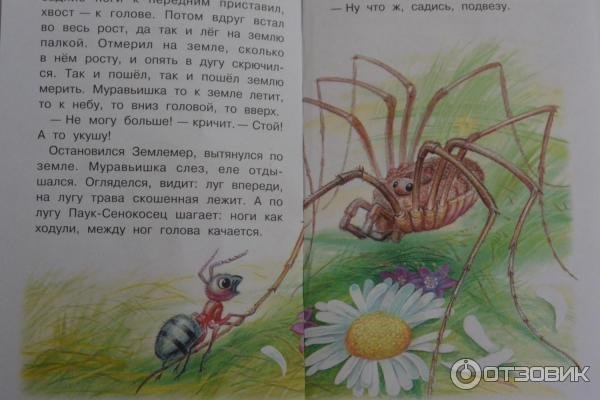 Рассказ Бианки путешествие муравьишки